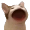 😺