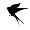 ⚫️