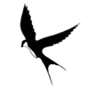 ⚫️