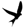 ⚫️