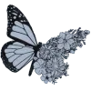 🦋