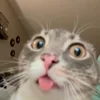 😯