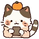 🐈
