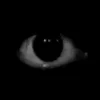 👁