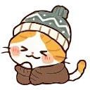 🐈