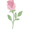 🌸