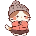 🐈