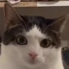 😕