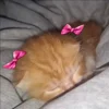 🎀