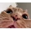 😧