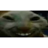😆