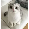 😳