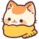🐈