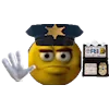 👮‍♂️