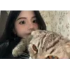 😻