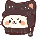 🐈