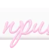 💗