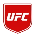 🥊