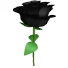 🌹