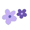 🌺