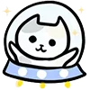 🐱