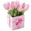 🌸