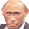 🐵