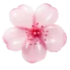 🌸