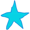 ⭐