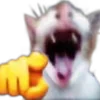 🫵