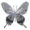 🦋
