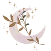 🌙