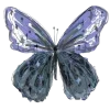 🦋