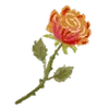 🌹
