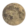 🌕