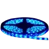 🩻