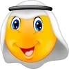 🇸🇦