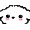 🐶