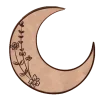 🌙