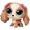 🐶