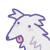 🐶