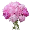 💐