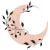 🌙