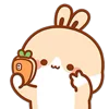 🥕