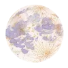 🌕