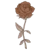 🌹