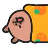 🍊
