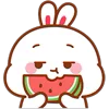 🍉