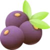 🍈