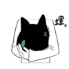 🐈‍⬛